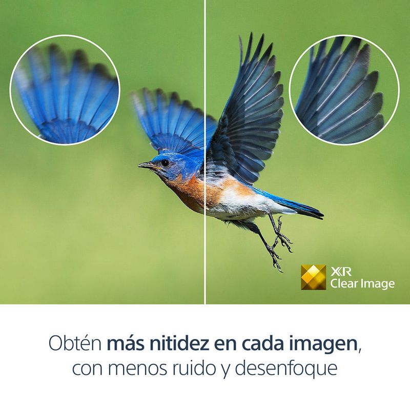 image-c1268033ed984fd9b4b04bc37cea74bb