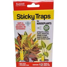 Trampa de insectos para planas 12 ct