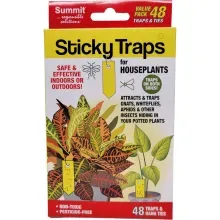 Trampa de insectos para plantas 48ct