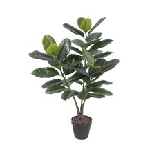 Planta ficus elastica verde y rojo 90cm