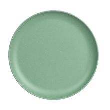 Plato de melamina surtx4 21cm