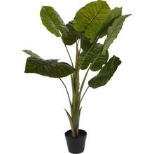 Planta en maceta 110cm