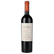 Vino Apaltagua Gran Reserva Envero Carmenere 750 ml