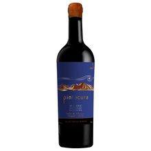 Vino Maturana Pintacura Blend 750 ml