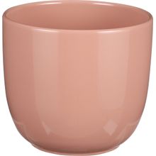 Maceta Decorativa Tusca Rosado 14X15 Cm