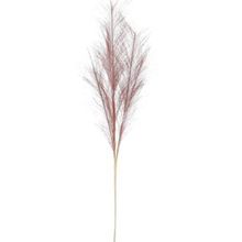 Pampas decortivas rosa 77cm