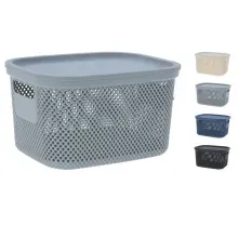 Caja organizadora con tapa 6l 4cs