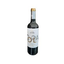 Vino Kuhlmann Copla Tinto Santo Patrono 750 ml