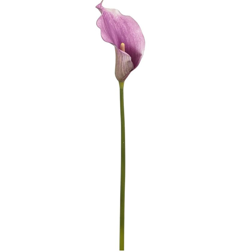 210734