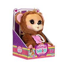 Oso Animal Babies