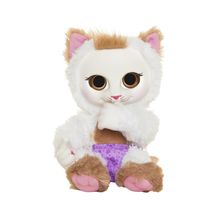 Gatito Animal Babies