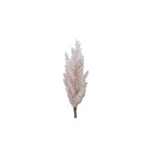 Pampas grass plume / rama pasto de la pampa