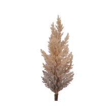 Rama artificial decorativa Pampa Grass melon
