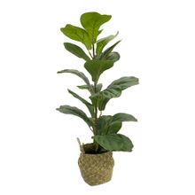 Planta C/Cesta 20X23X66Cm