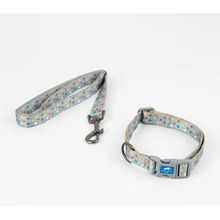 Collar + Correa 2.0X 35-50Cm/2.0X90Cm Puntos Srt