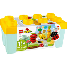Duplo Huerto organico