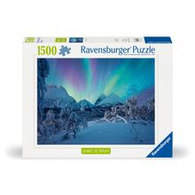 Rompecabezas El poder de la naturaleza 4 Cuando las auroras boreales bailan 1500 pzas
