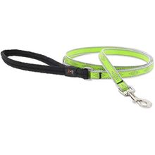 Correa para perros eco verde diamante 1/2pulg x 6pies