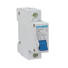 TERMICO UNIPOLAR 25A