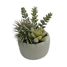 Suculenta Mix En Maceta De Cemento 14X16 Cm