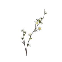Rama flor de cerezo blanco 70cm