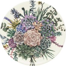 Plato plano unni bothanica