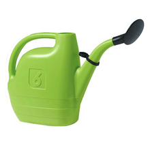 Regadera 1,60 galon verde