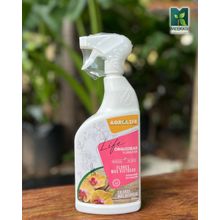 Fortalecedor de raiz Life orquideas 650ml