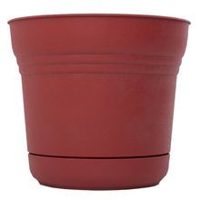 Maceta rojo 5"red saturn plan