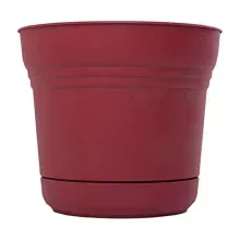 Maceta rojo 12" red saturn pl