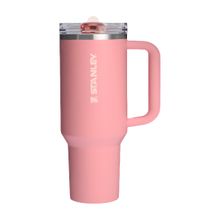 Quencher Protour 1,18 lts Pink Mesa