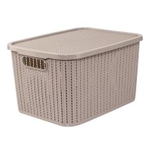 Caja organizadora con tapa 19L gris