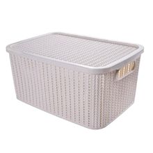Caja organizadora con tapa 14L beige