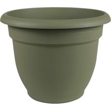 10" ariana grn planter