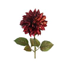 Flor dalia roja