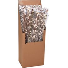 Ramas de madera blanda