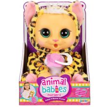 Leopardo animal Babies