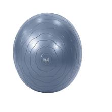 Bola gimnasia/yoga everlast 65cm
