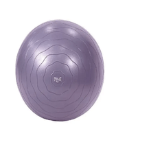 Bola de ejercicio everlast 55cm