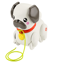 Pug camina conmigo