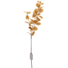 Rama eucalipto 85cm surtx3