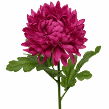 Crisantemo Artifical Purpura 67 Cm