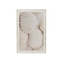 Cuadro decorativo Shells 60x40cm