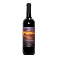 Vino Valle Hermoso El Codo de los Andes