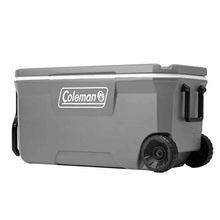 Conservadora con ruedas 100QT  gris
