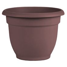 Maceta 6"Merlot  Ariana  P1