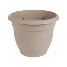 Maceta 6"  Stone  Ariana  P1