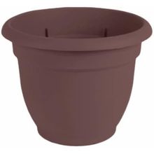 Maceta 8"merlot  ariana  p1