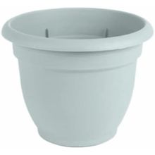 Maceta 8"  misty ariana  p1