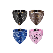 Collar eco peq Bandada